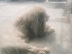 -南昌动物园