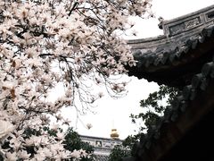 -龙华寺