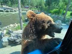 -北京野生动物园