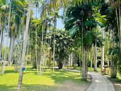 -中国科学院西双版纳热带植物园