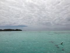 -蓝湾海滩