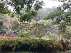 -云溪植物园