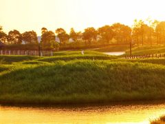 -春花秋色城市公园