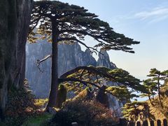 -黄山风景区