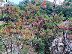 -黑龙潭风景区