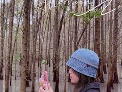 -桤木河湿地公园