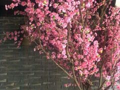 -花千醉(新街口店)