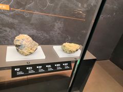 -盘龙城国家考古遗址公园