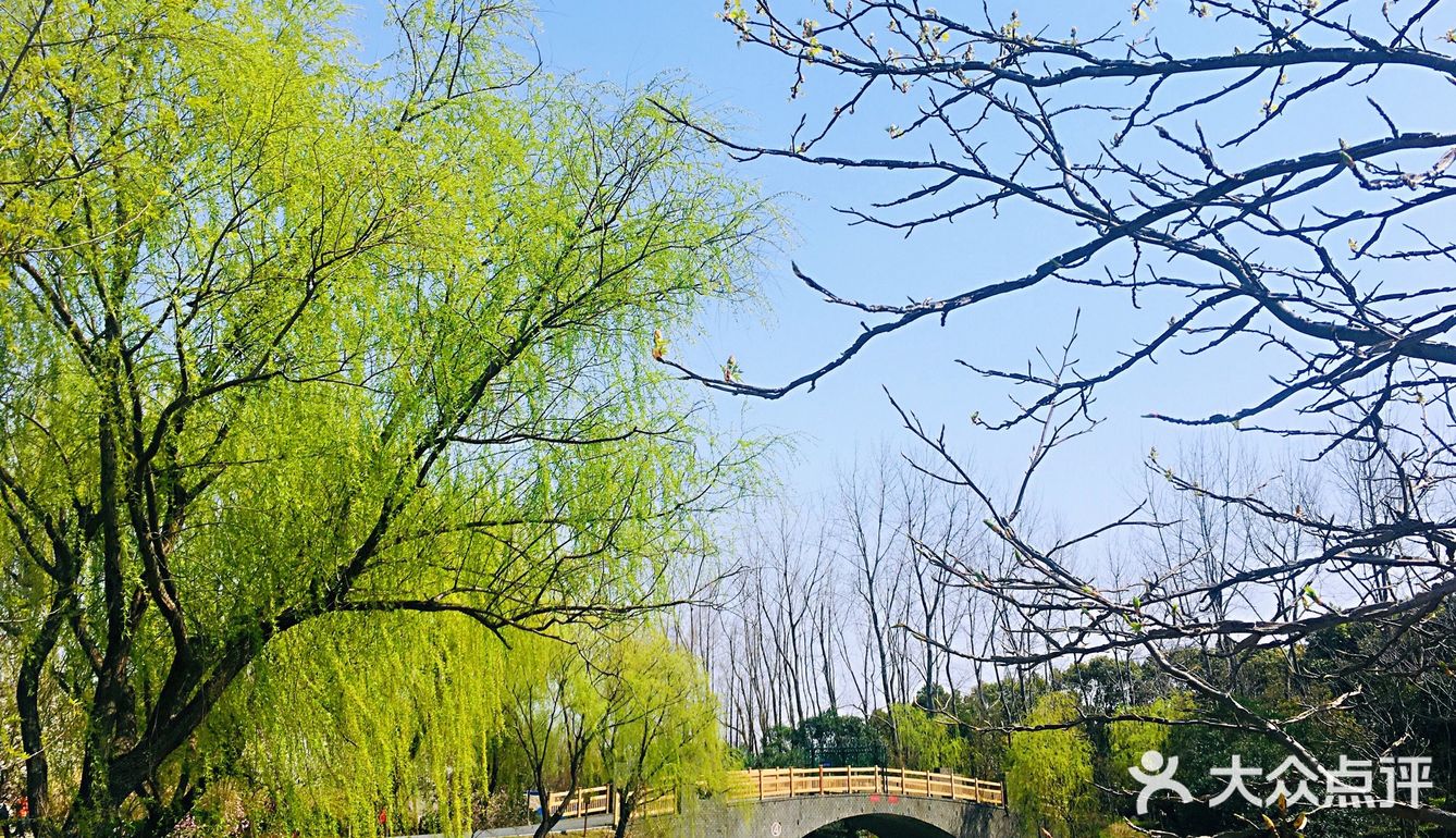 反正门票才20元，太值得推荐了