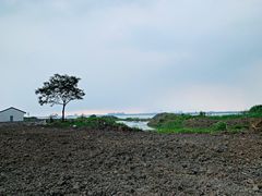 -七的湖·晚芳亭·阳澄湖农家菜·大闸蟹(莲花岛店)