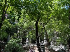 -天津盘山风景名胜区