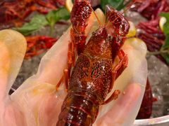 -长沙文和友(海信广场店)