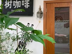 -树咖啡tree coffee
