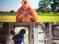 -新世纪电影城(阳光100店)