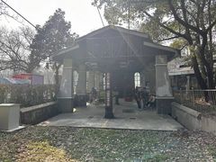 -紫金山山顶公园
