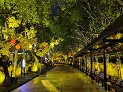 -横店影视城梦幻谷园区