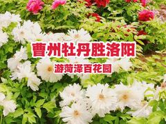 -曹州百花园