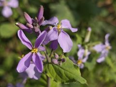 -紫竹院公园-东门停车场