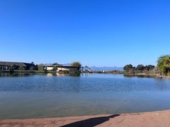 -月亮湾湿地公园