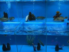 -怡咖啡·自助餐·西安香格里拉