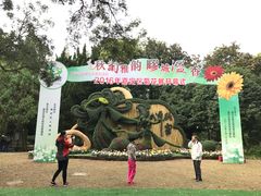 -汇龙潭