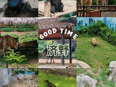 -济南野生动物世界