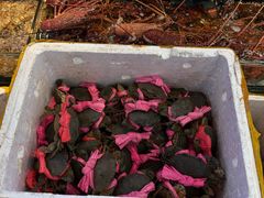 -阿忠食坊大排档·20年老店(万象城店)