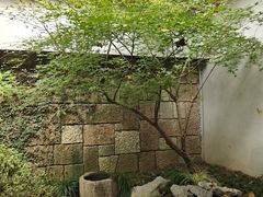 -中国茶叶博物馆(双峰馆区)