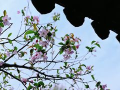 -太平天国历史博物馆(瞻园)