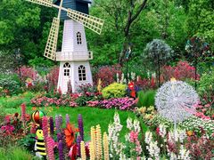 -上海共青森林公园