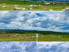 -御道口草原森林风景区