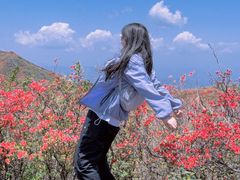 -大围山国家森林公园