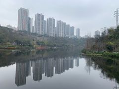 -重庆彩云湖湿地公园