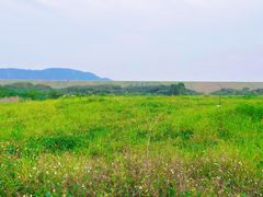 -光明小镇欢乐田园