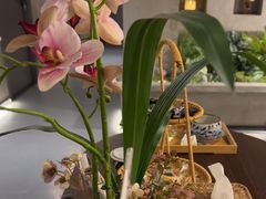 -施奈儿.洗头頭療.按摩SPA.采耳(上梅林店)