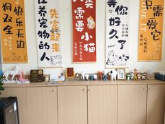 -美迦爱-牙专科·兔科·骨科诊疗中心(北苑店)