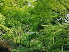 -杭州半山国家森林公园