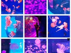 -南昌融创海世界