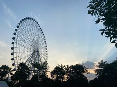 -凤岭儿童公园
