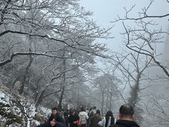 -九华山风景区