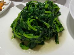 酒香豆苗-新吉士·上海菜(浦东LCM置汇旭辉店)