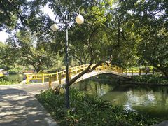 -晓港公园