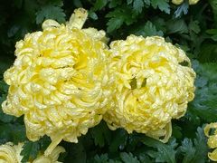 -汇龙潭