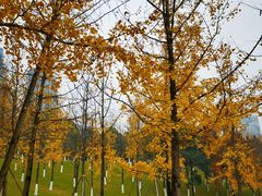 -重庆中央公园(渝北区)