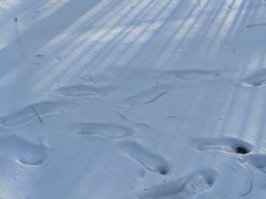 -北京西山滑雪场