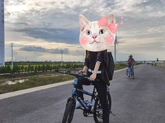 -上海长兴岛郊野公园