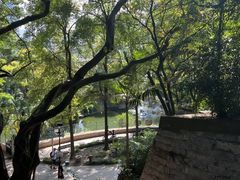-九龙公园