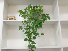 -郑远元专业修脚房(昌里东路店)
