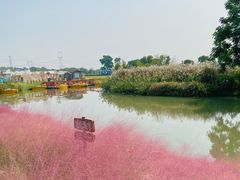 -嘉北郊野公园