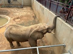 -西霞口神雕山野生动物世界